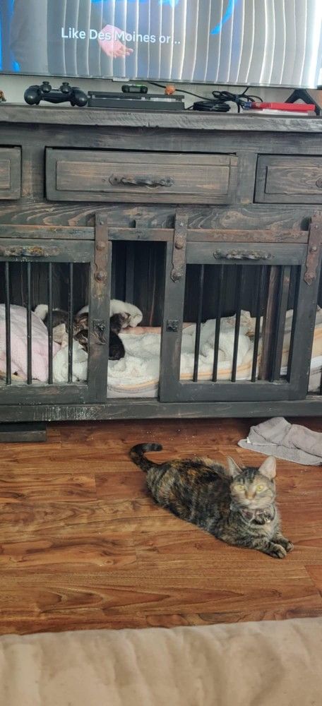 XXL Dog Kennel
