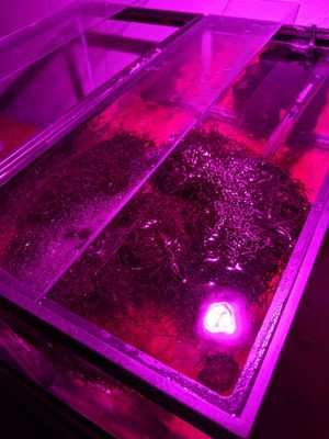 New And Used Farming For Sale In Florissant Mo Offerup