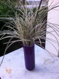 Purple vase with greenery