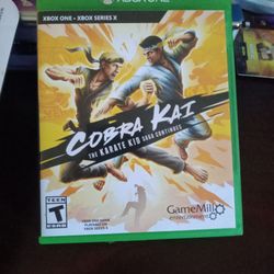 Cobra Kai Xbox Game