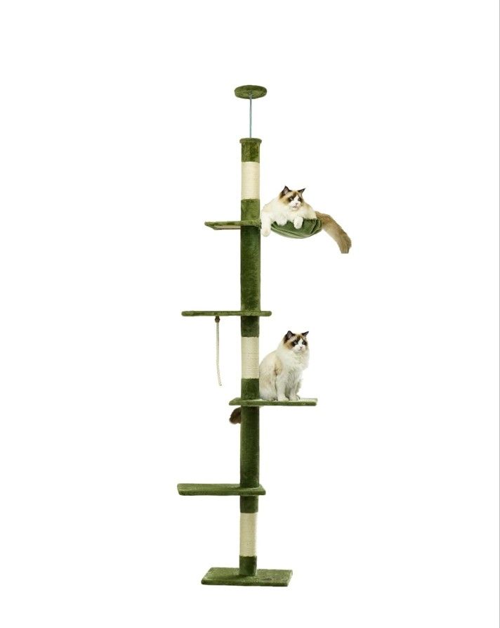 Cat Tree Floor to Ceiling Cat Tower with Adjustable Height, Cat Climbing Activity Center with Hammock, Platforms and Dangling Balls for Indoor Cats 