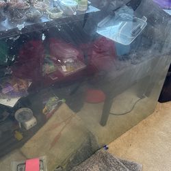 Glass 41.5 Inches By 71 Inch