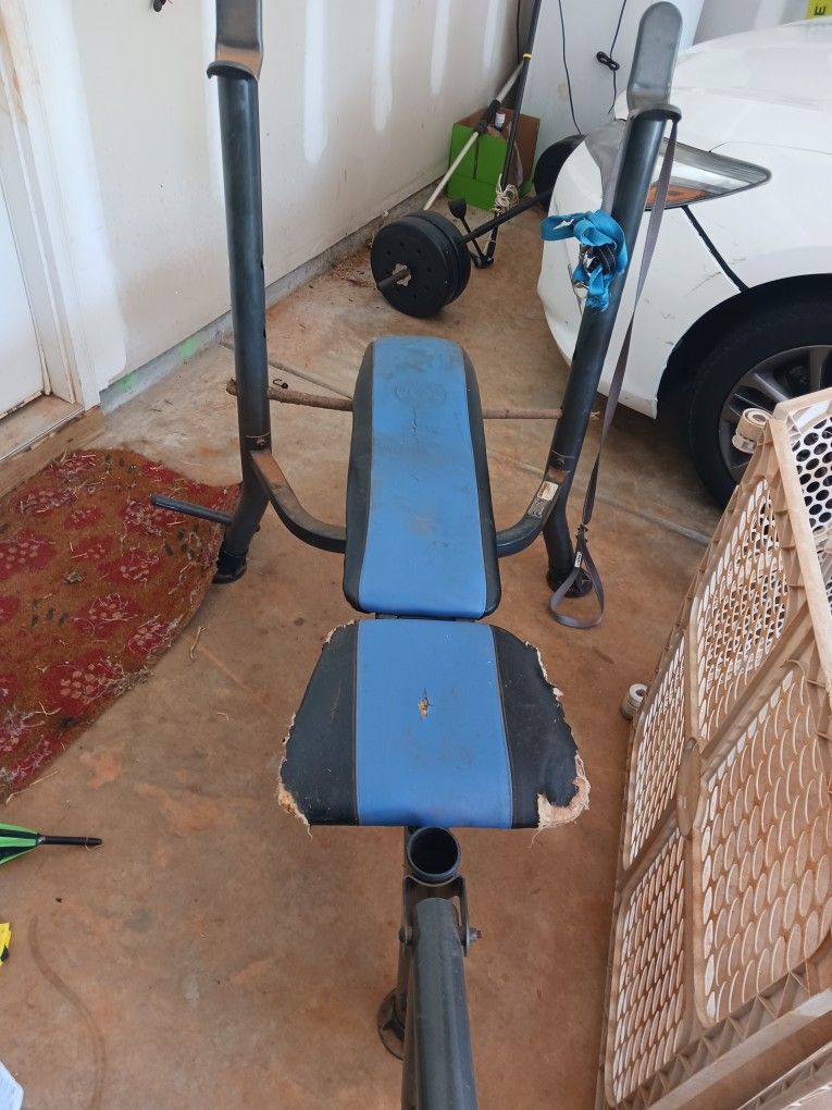 Weight Bench