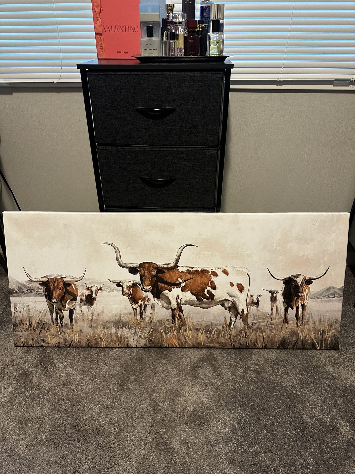 48x20 Longhorn Canvas