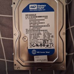 Western Digital Caviar Blue 160GB hard disk drive