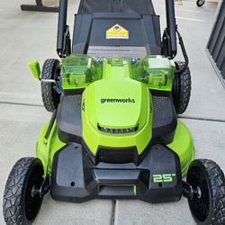 Greenworks Electric Lawn Mower