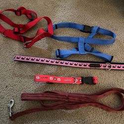 dog Label Leash, Dale jR Brand New Collar And 2 Harnesses 