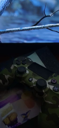 PS4 controller