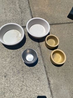 For dog and cat $5 each