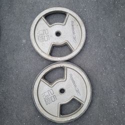 25lbs Weights
