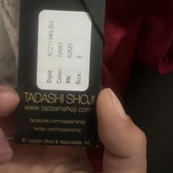 Tadashi Shoji Ivory/Natural Gown