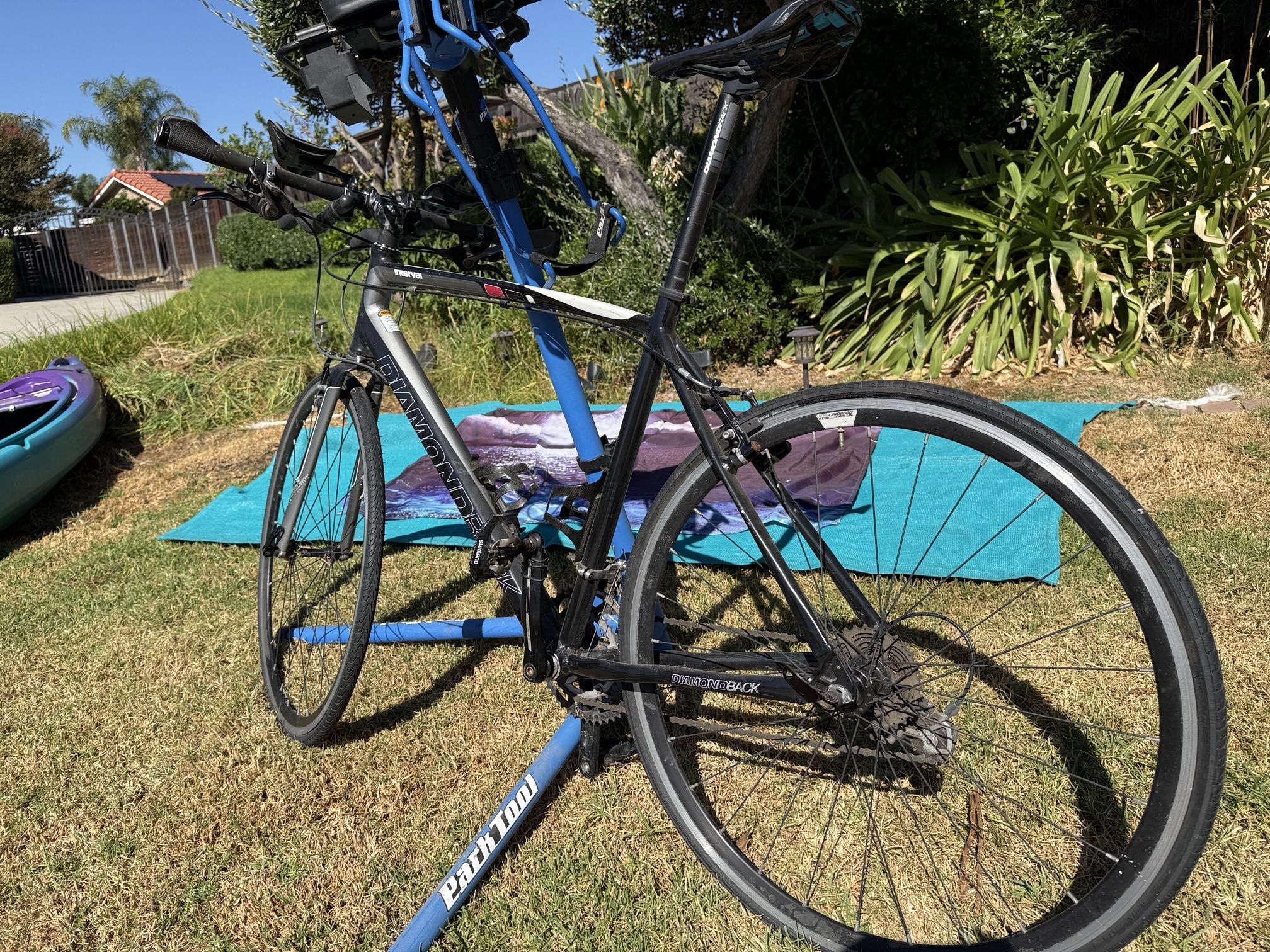 Diamondback Interval Mens XL BIKE