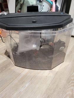 3 gallon aquarium