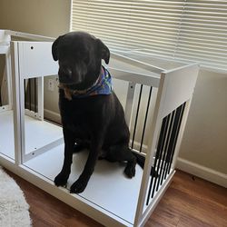 Wooden Furniture Style Dog Crate