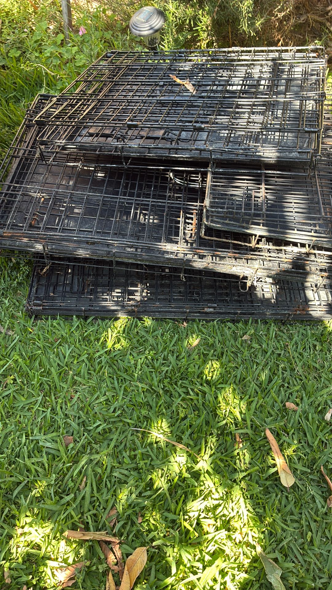 Crates For Dogs
