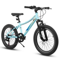 ECARPAT Polestar 20" Kids Mountain Bike