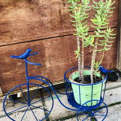 BICYCLE PLANT STAND