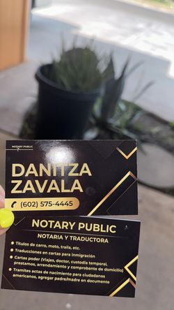 Notaria Y Traductora