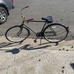 Free Beach Cruiser 
