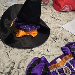 Mini Mouse Halloween Costume