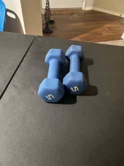 2 dumbbells 5lbs