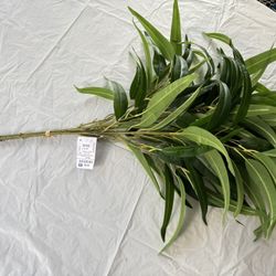 Artificial Willow Leaf branches Fig- Ramas artificiales - Ficus maclellandii