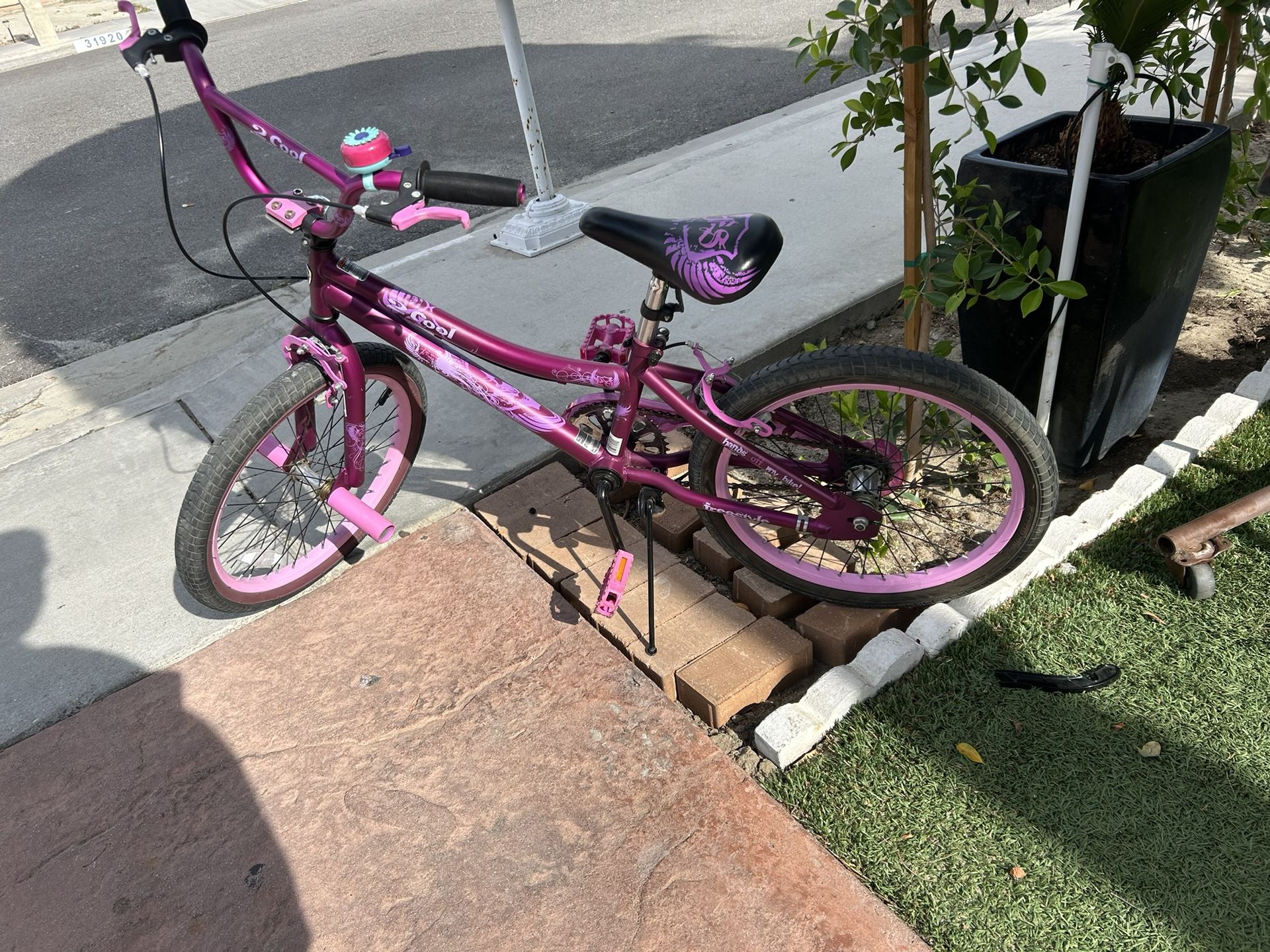20 Girls Bicycle