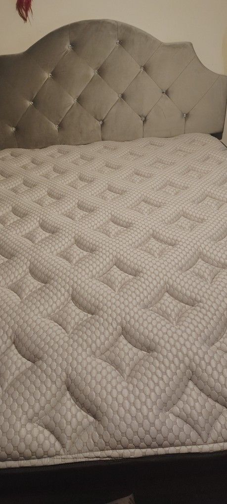 Brand New Mattress Box Spring Frame Headboard