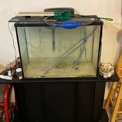 39 Gallon Fish Tank With 55 Gallon Stand