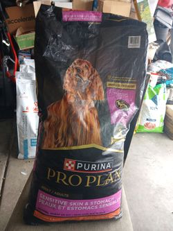 TOP DIGGITY DOG FOOD FOR MUCH LESS!