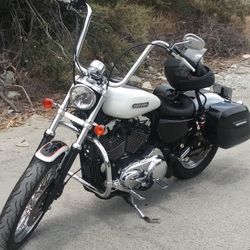 2006 Harley davison Sportster 1200 Limited Edition