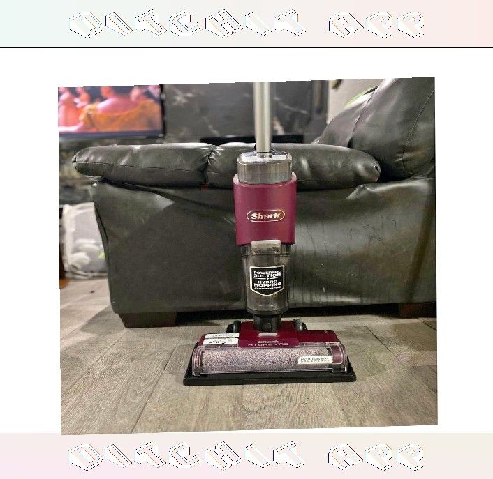 Dual Vacuum Cleaner - Maximum Cleaning Strength free director