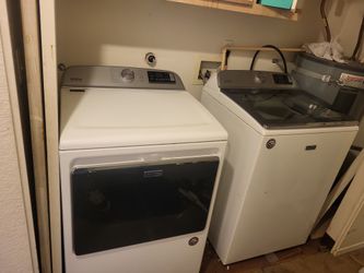 May tag Oversized TOP LOADER