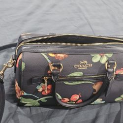 Coach Handbag