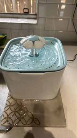 bird fountain