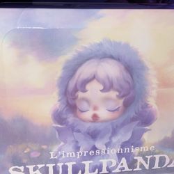 Skullpanda Pop mart Box Authentic 