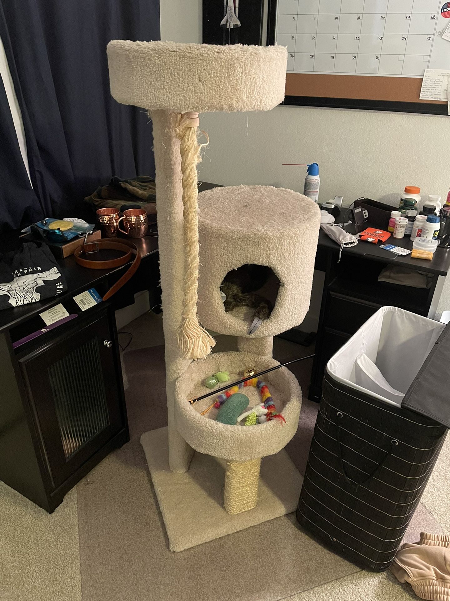 used cat tower