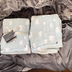 Modern Moments By Gerber 