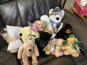 Bears