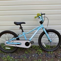 Cannondale Trail 20 Single-Speed Kids' Mountain Bike