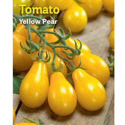 30 Organic Yellow Pear Tomato Seeds