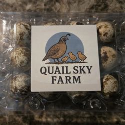 Quail Hatching Eggs