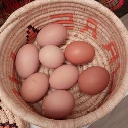 Fresh Organic Large Brown Eggs 🥚