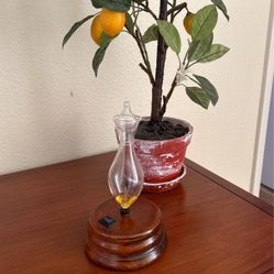 Essential Oil Diffuser (ionize)