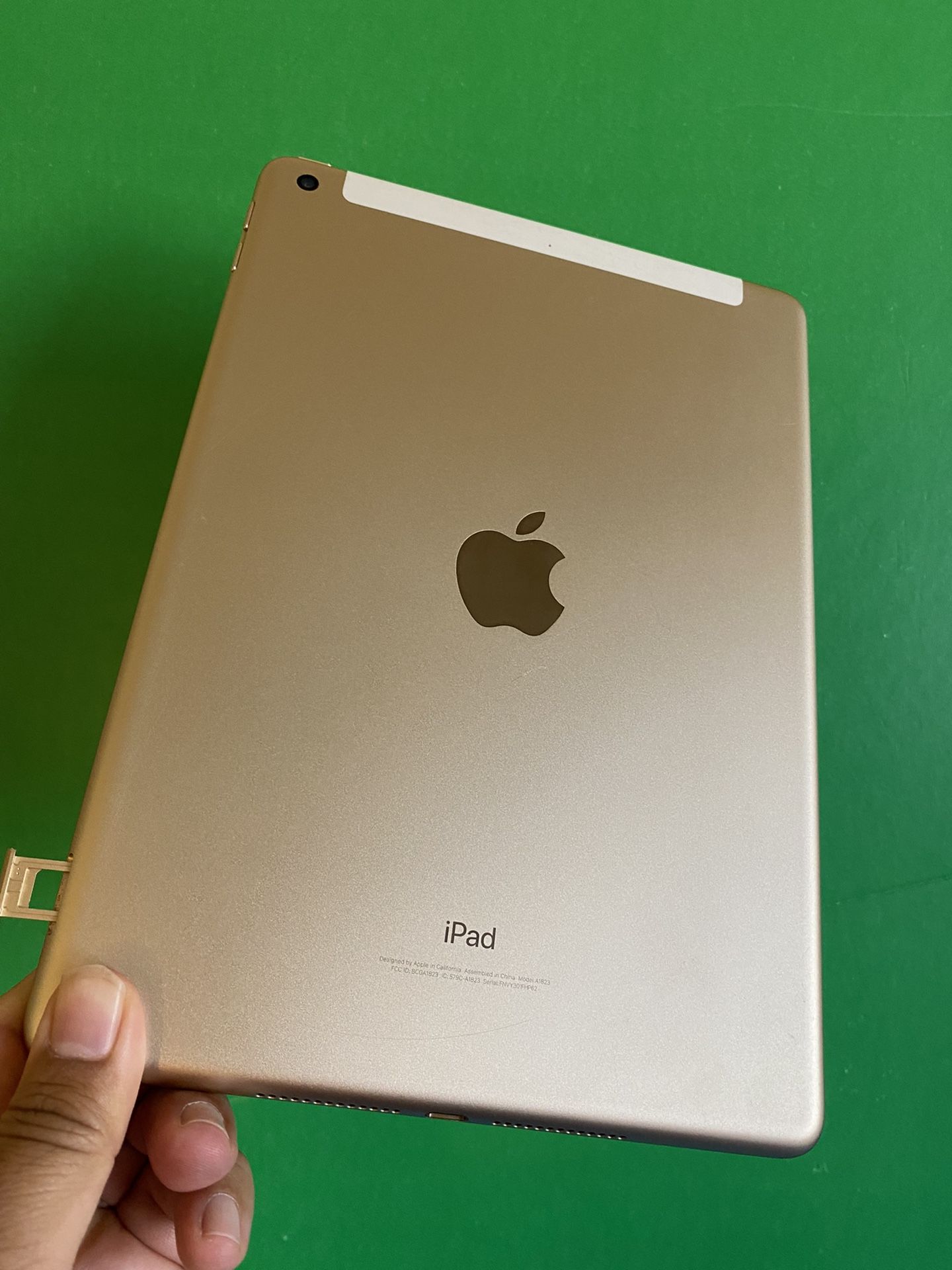 Apple iPad (5th generation) 128GB Wi-Fi + Cellular model