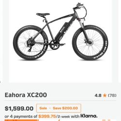 Electric Mountain BIKE