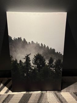 Misty Forest Canvas Wall Art Print