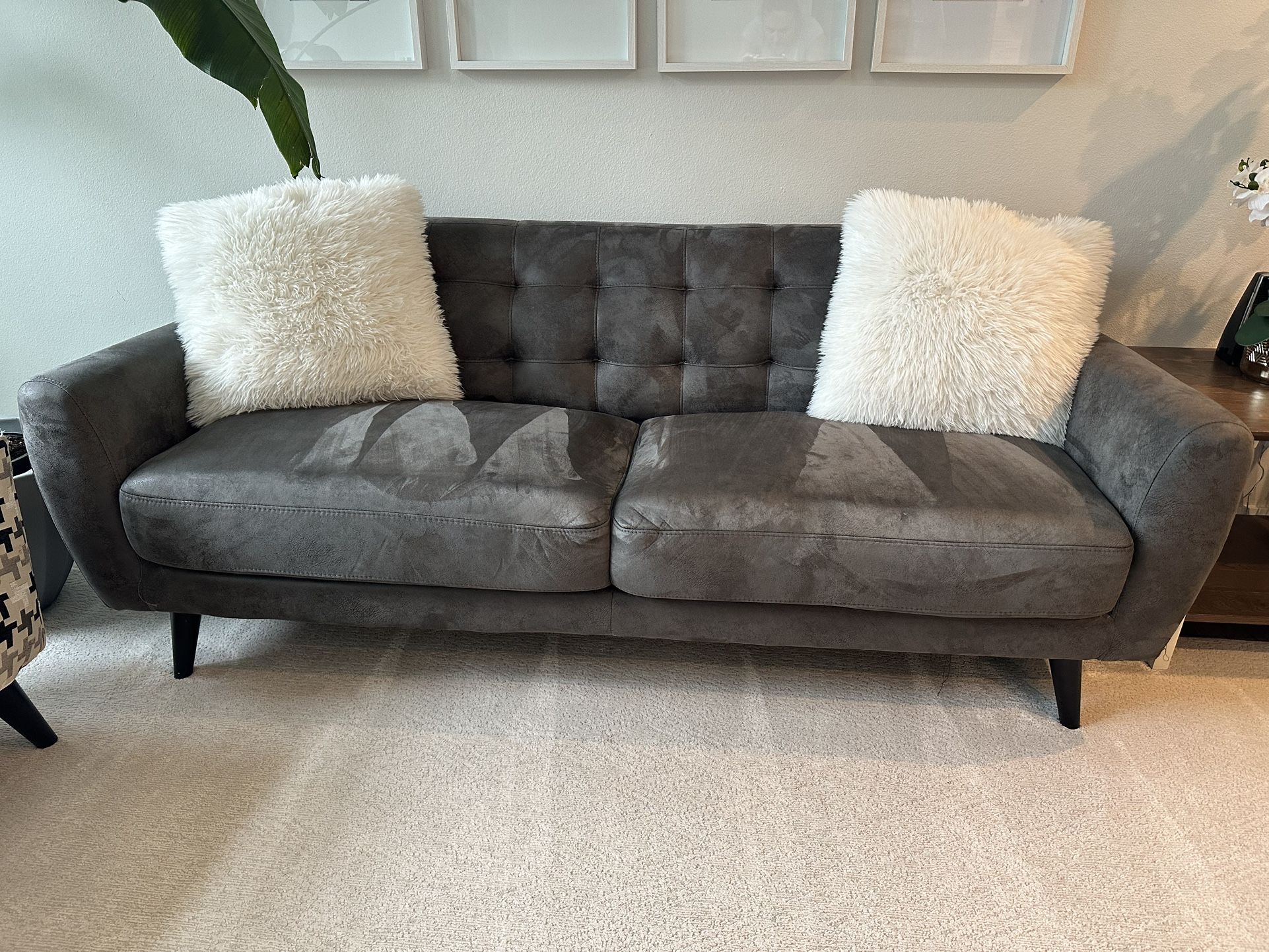 Velvet Gray Couch