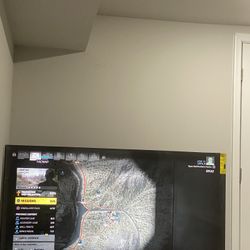 65inch 