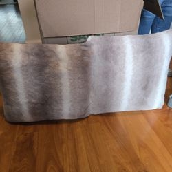 2 Throw Pillows
